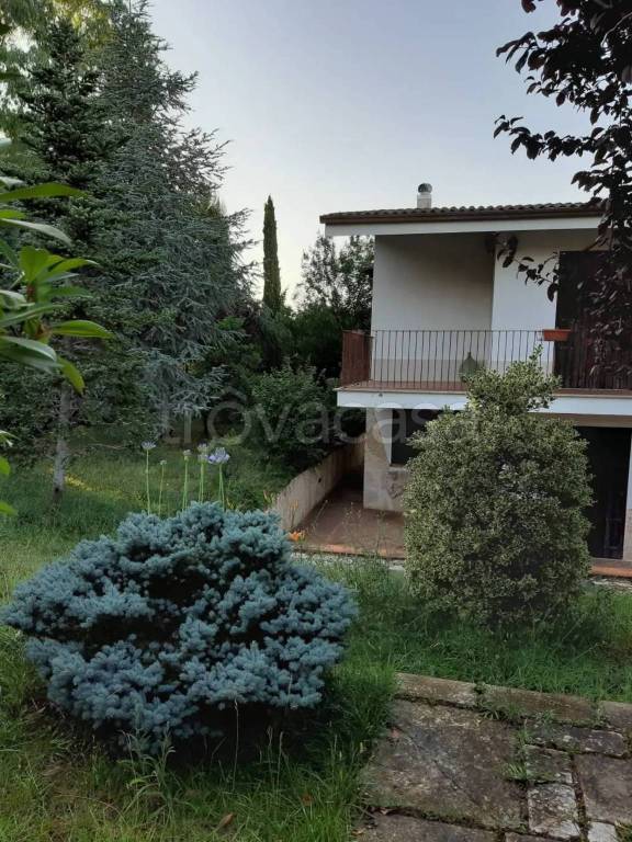 casa indipendente in vendita a Toritto in zona Quasano