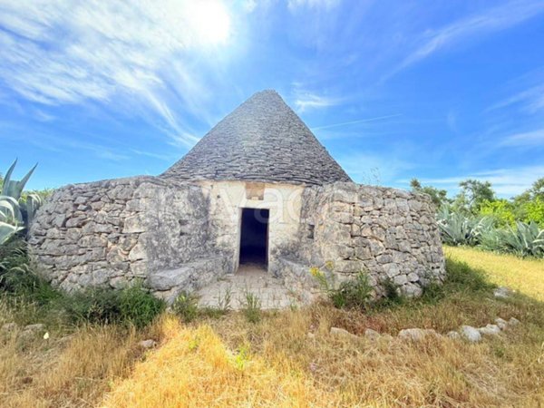 terreno agricolo in vendita a Toritto