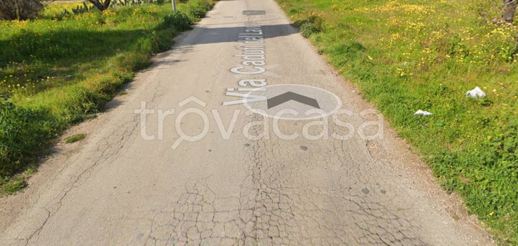 terreno agricolo in vendita a Toritto