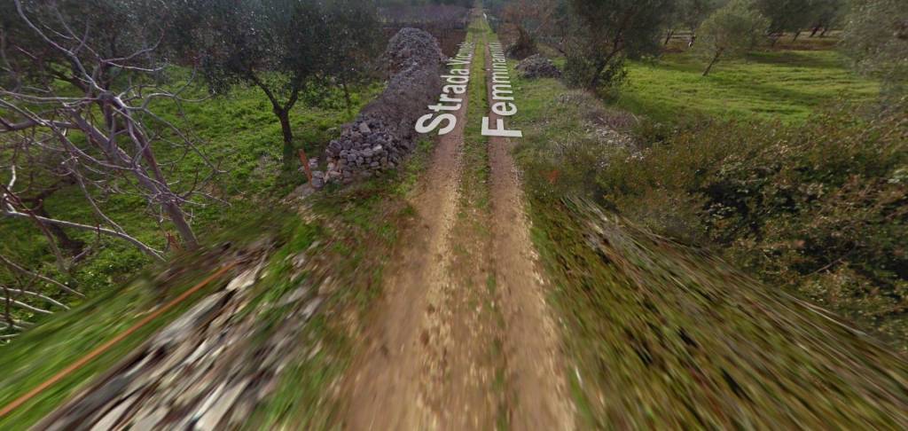 terreno agricolo in vendita a Toritto