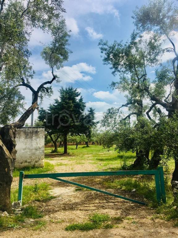 casale in vendita a Toritto