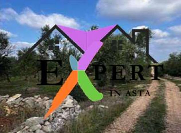 terreno agricolo in vendita a Toritto