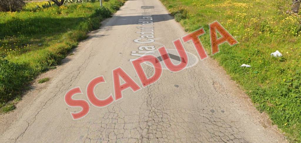 terreno agricolo in vendita a Toritto