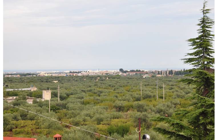 appartamento in vendita a Toritto in zona Quasano