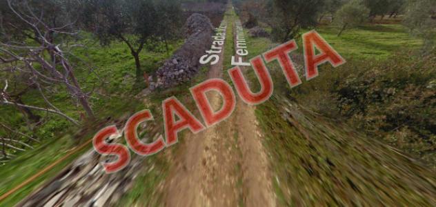 terreno agricolo in vendita a Toritto