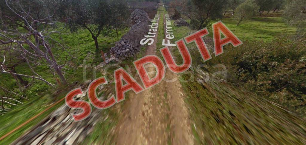 terreno agricolo in vendita a Toritto