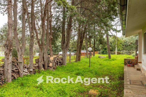 immagine annuncio 0 di 5