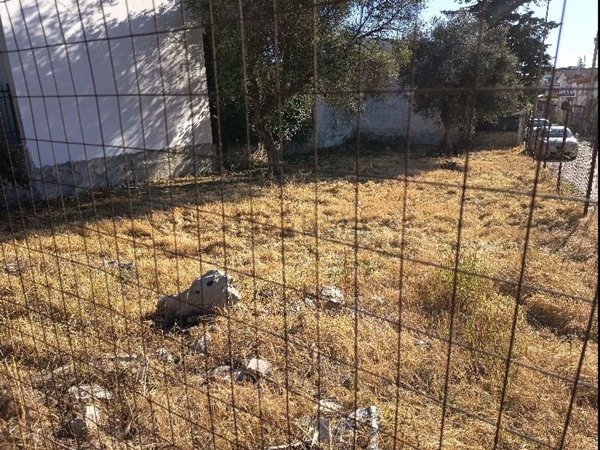 casa indipendente in vendita a Toritto in zona Quasano