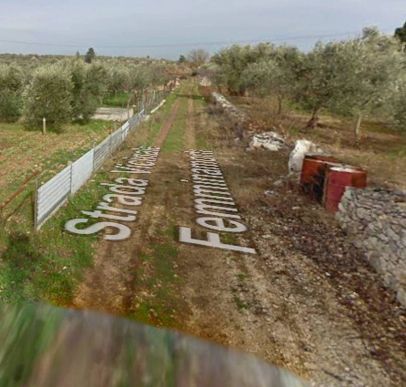 terreno agricolo in vendita a Toritto
