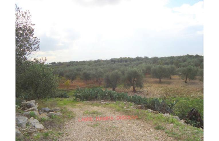 terreno agricolo in vendita a Triggiano