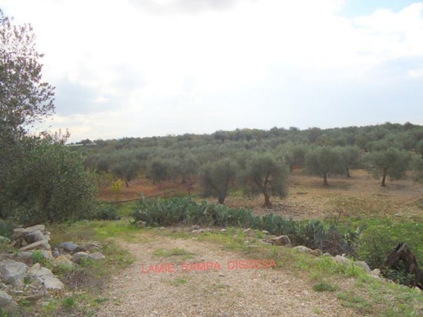 terreno agricolo in vendita a Triggiano