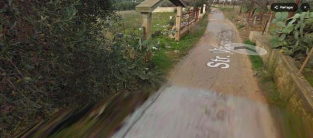 terreno agricolo in vendita a Triggiano