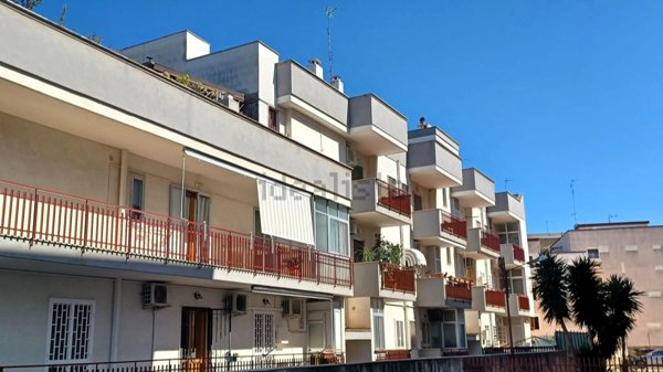 appartamento in vendita a Triggiano
