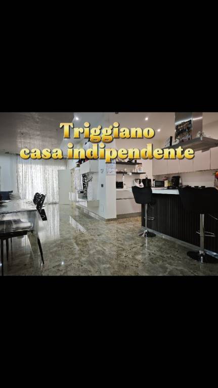 casa indipendente in vendita a Triggiano