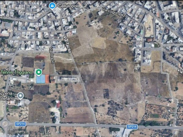 terreno agricolo in vendita a Triggiano