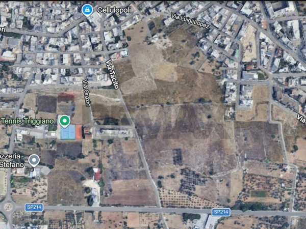 terreno agricolo in vendita a Triggiano