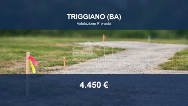 terreno agricolo in vendita a Triggiano