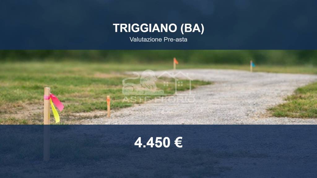 terreno agricolo in vendita a Triggiano