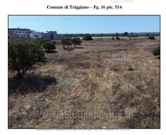 terreno agricolo in vendita a Triggiano