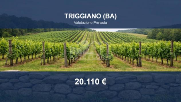 terreno agricolo in vendita a Triggiano
