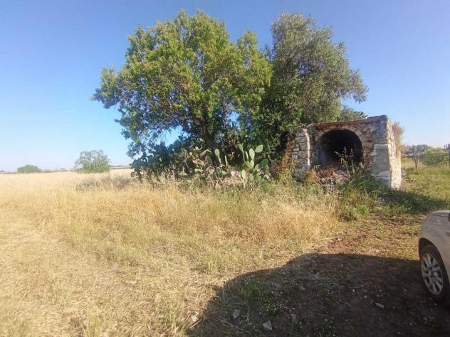 terreno agricolo in vendita a Triggiano