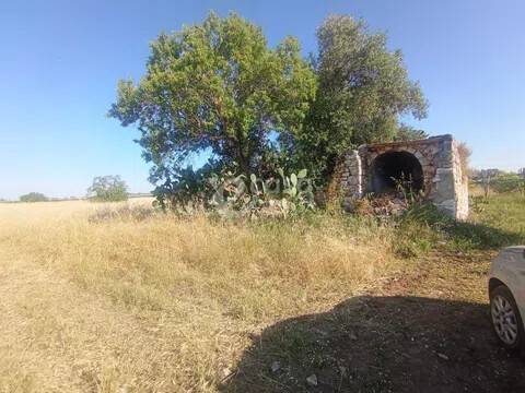 terreno agricolo in vendita a Triggiano