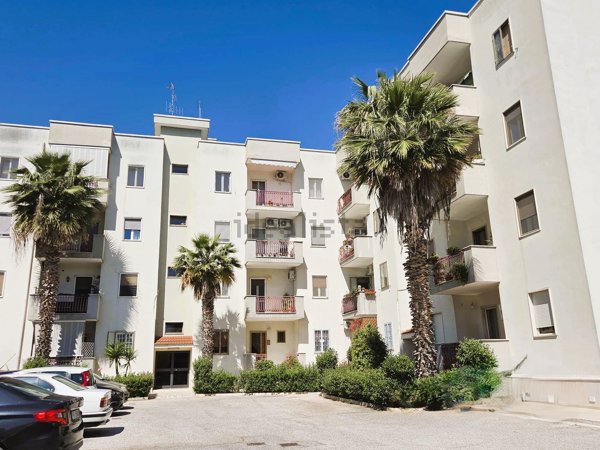appartamento in vendita a Triggiano