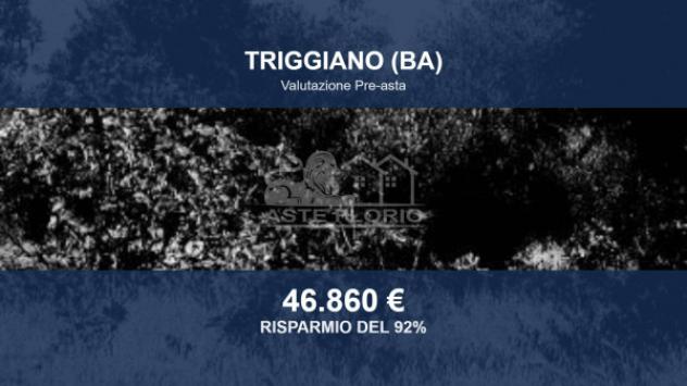 terreno agricolo in vendita a Triggiano