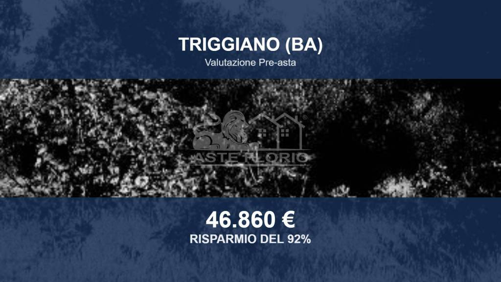 terreno agricolo in vendita a Triggiano