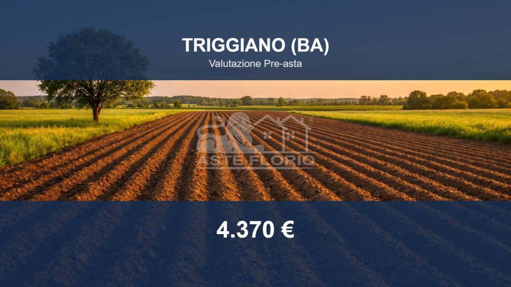terreno edificabile in vendita a Triggiano