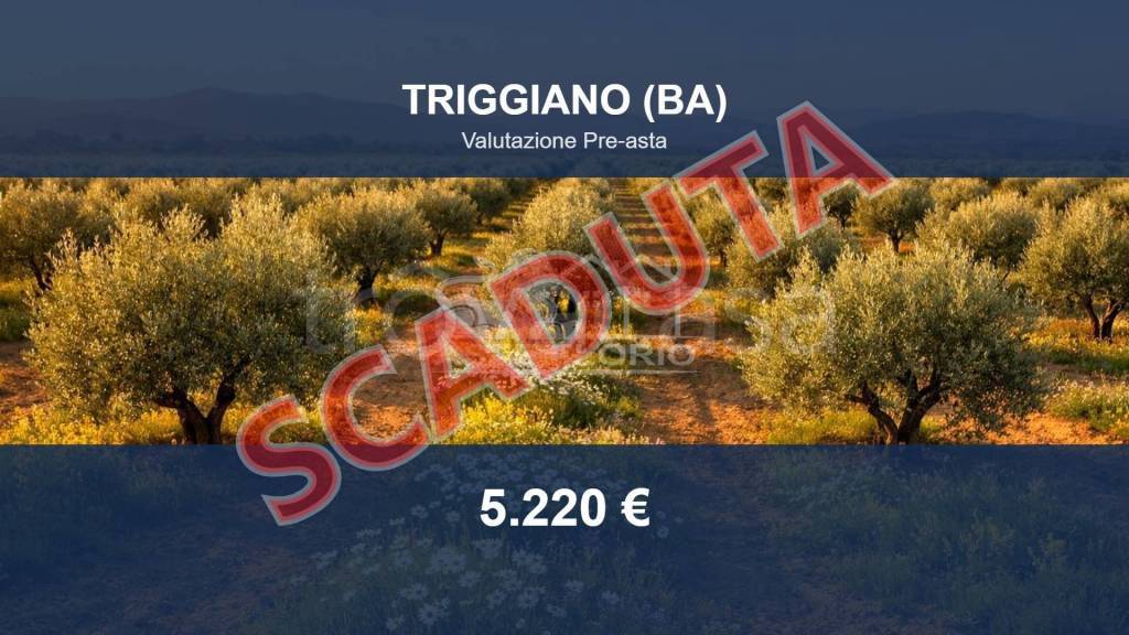 terreno in vendita a Triggiano