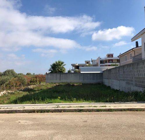 terreno agricolo in vendita a Turi