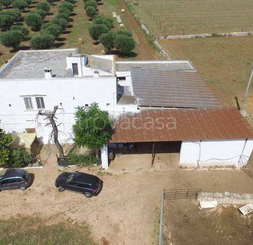 terreno agricolo in vendita a Turi
