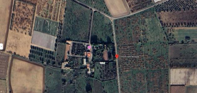 pentavano in vendita a Turi