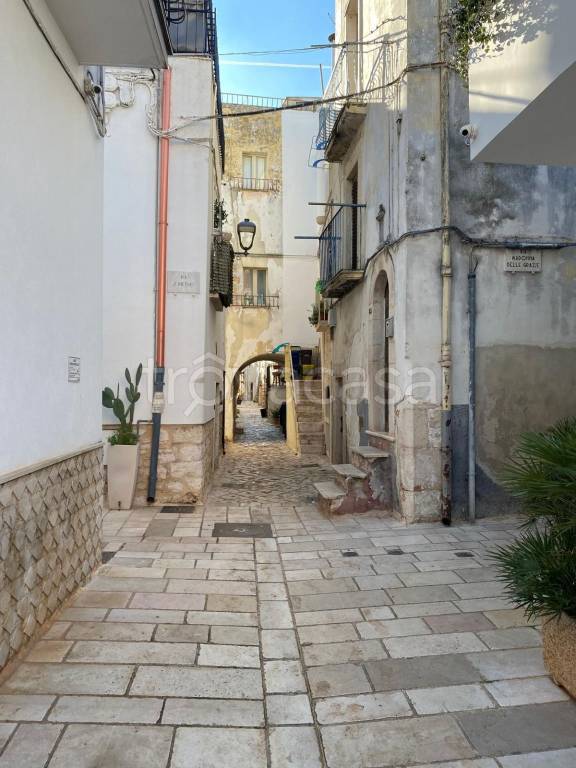 appartamento in vendita a Turi