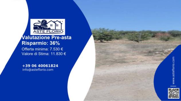 terreno agricolo in vendita a Turi