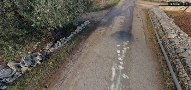 terreno agricolo in vendita a Turi