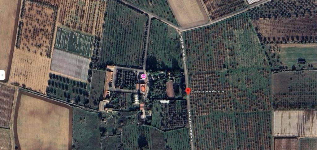 negozio in vendita a Turi