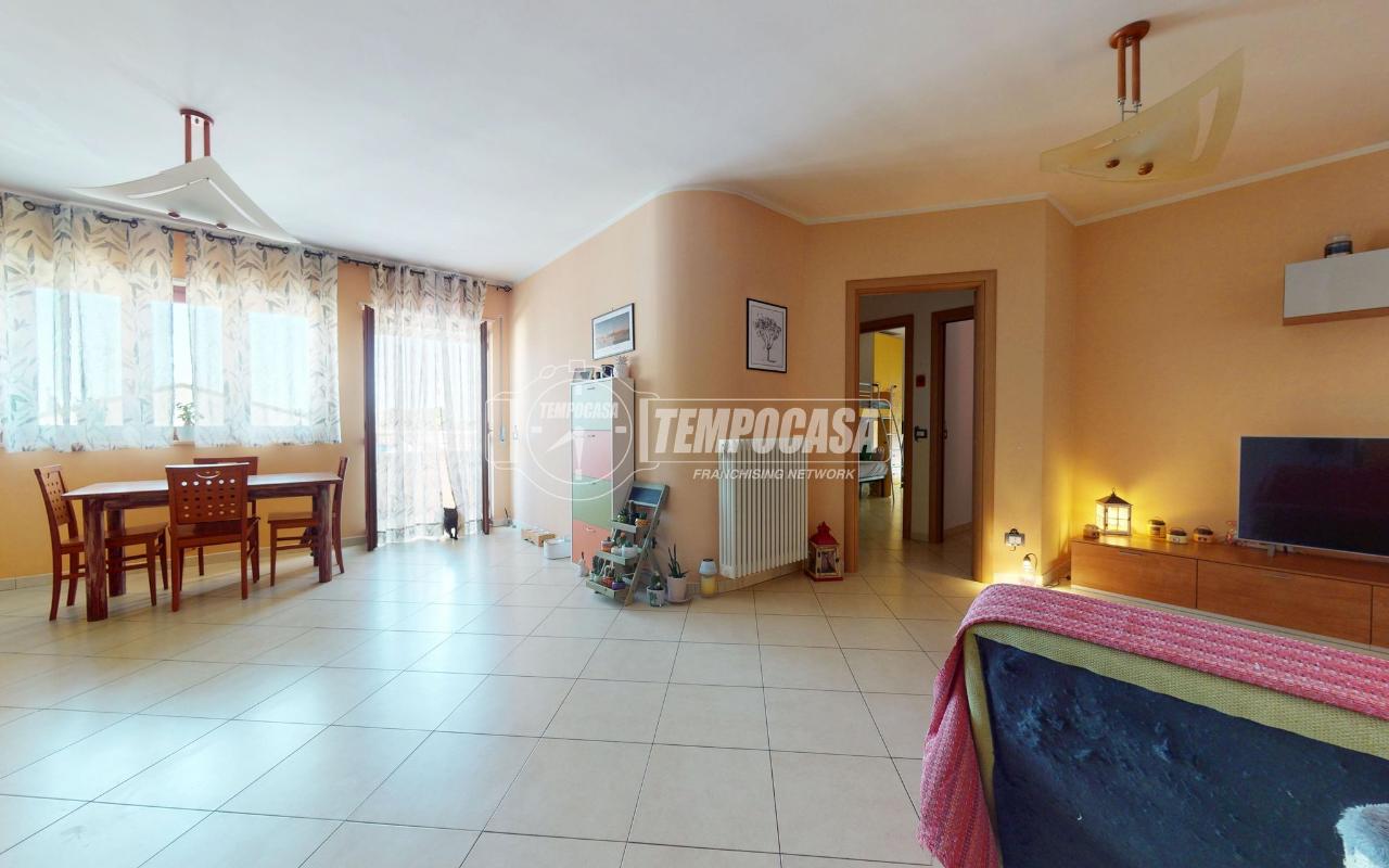 immagine annuncio 0 di 15