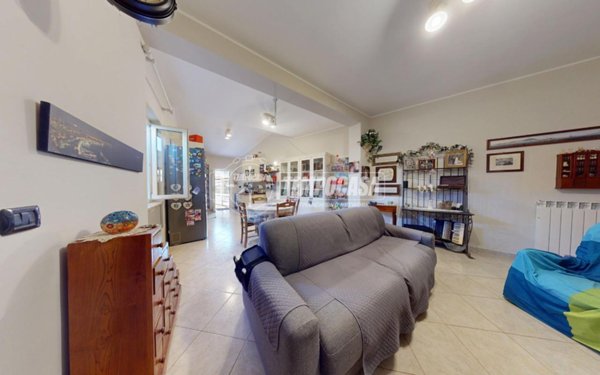 immagine annuncio 0 di 15