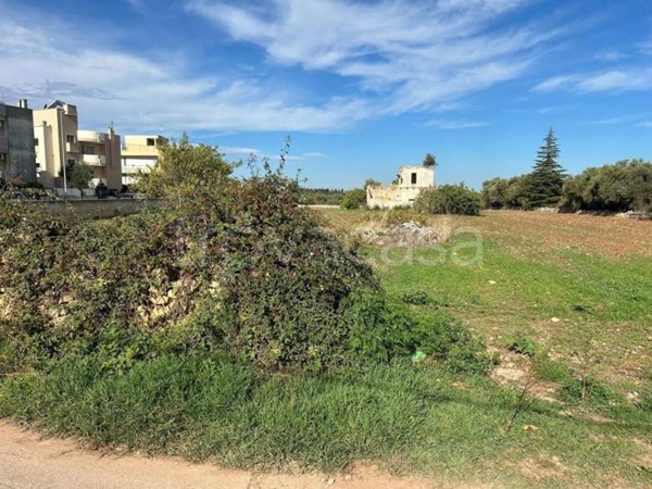 terreno agricolo in vendita a Turi
