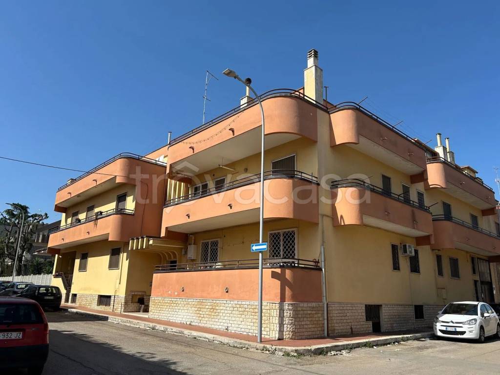appartamento in vendita a Turi