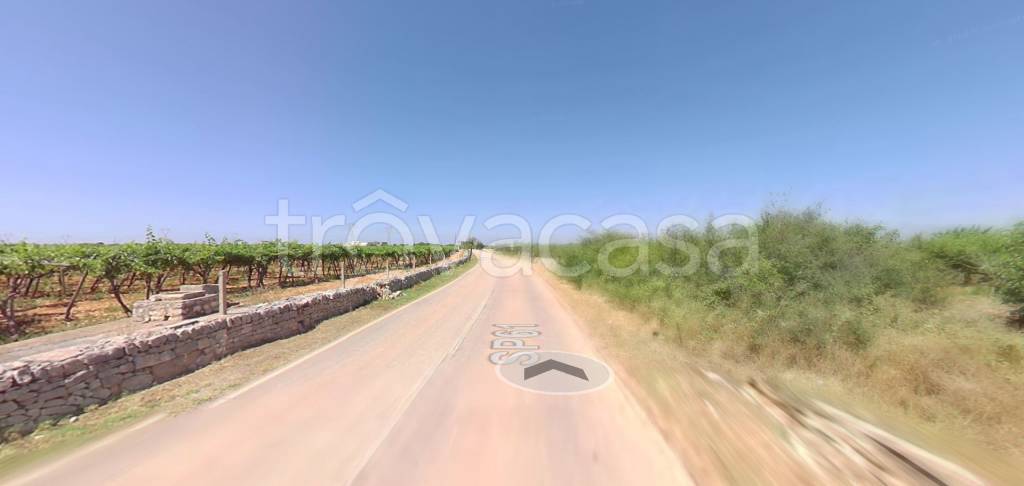terreno agricolo in vendita a Turi