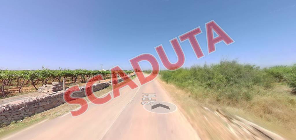 terreno agricolo in vendita a Turi