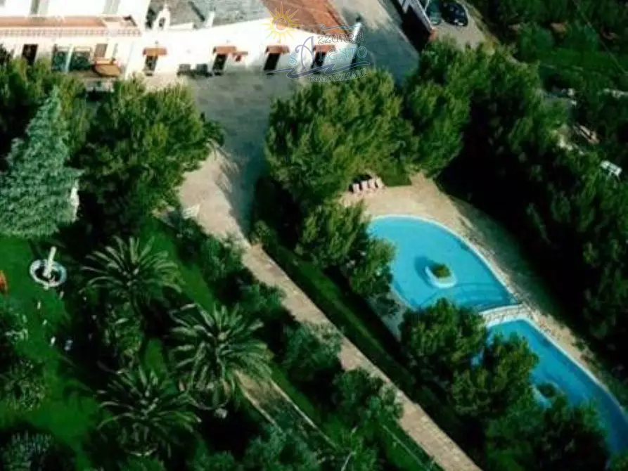 azienda agricola in vendita a Turi