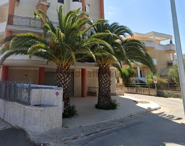 appartamento in vendita a Turi