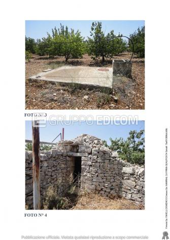 terreno agricolo in vendita a Turi