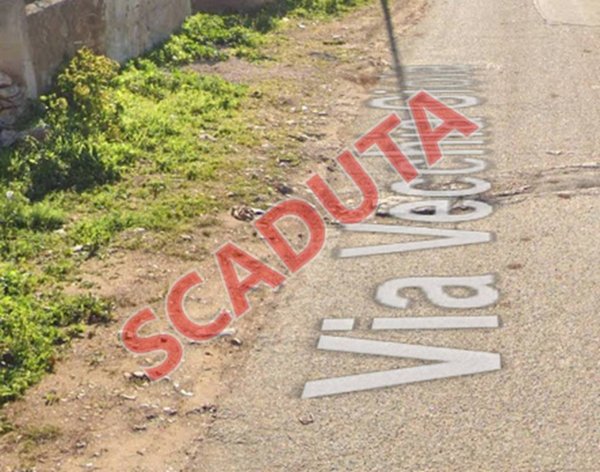 terreno agricolo in vendita a Turi