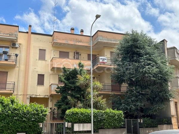 appartamento in vendita a Turi