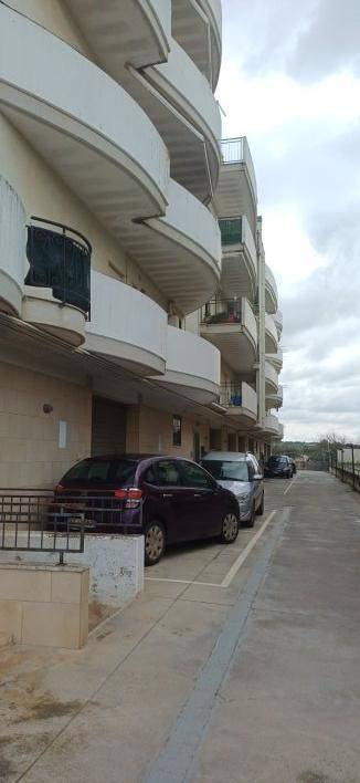 appartamento in vendita a Turi